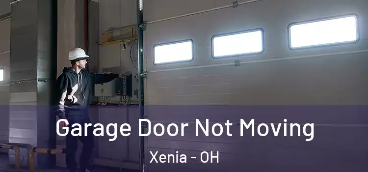  Garage Door Not Moving Xenia - OH