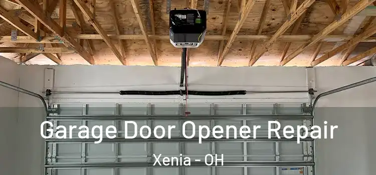  Garage Door Opener Repair Xenia - OH