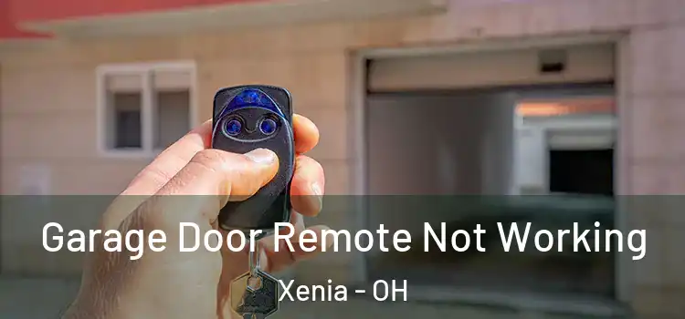  Garage Door Remote Not Working Xenia - OH