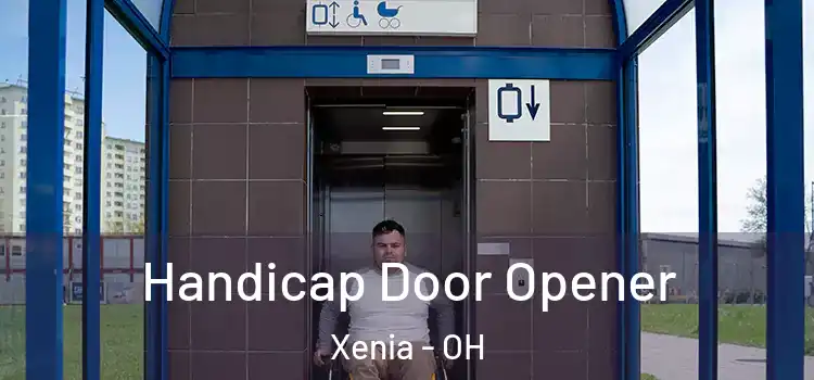  Handicap Door Opener Xenia - OH