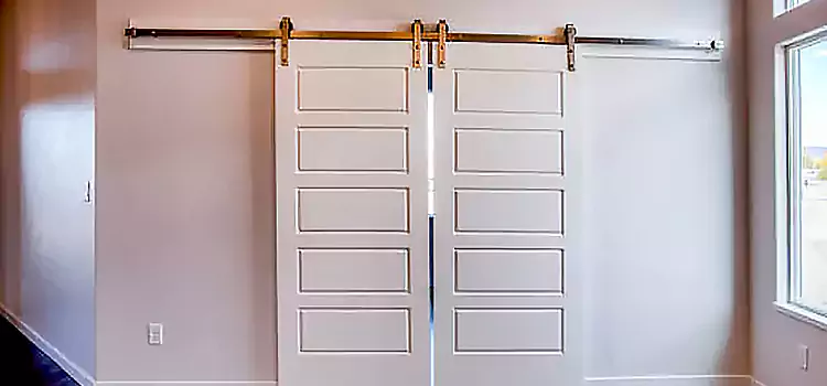 Glass Barn Door with Installation Hardware Kit Xenia