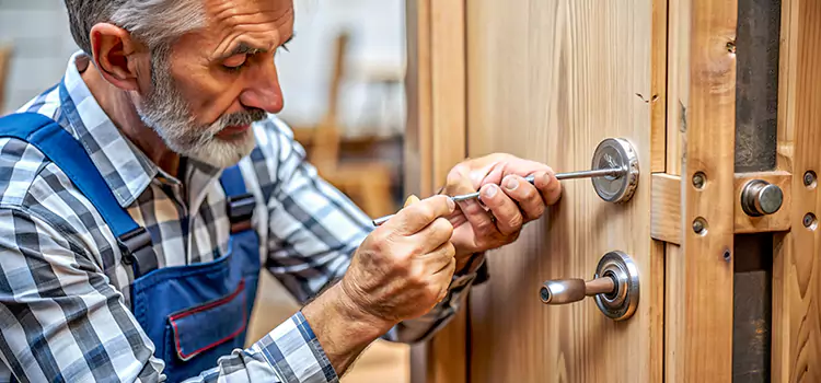 Mortise Replacement Lock Xenia