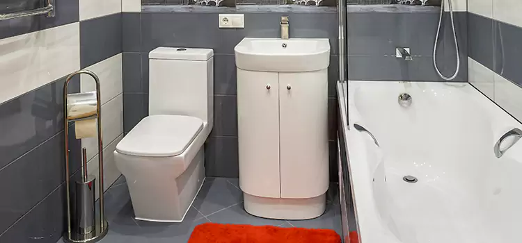 Hansgrohe Shaving Mirror Xenia