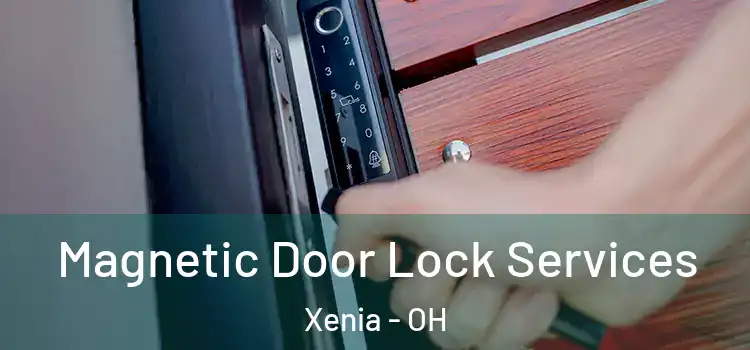 Magnetic Door Lock Services Xenia - OH