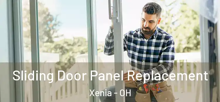  Sliding Door Panel Replacement Xenia - OH