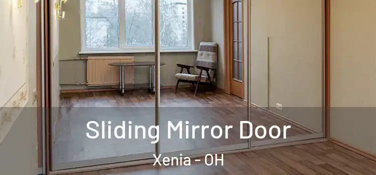  Sliding Mirror Door Xenia - OH